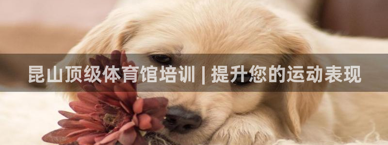 焦点娱乐平台是正规的吗安全吗：昆山顶级体育馆培训 |
