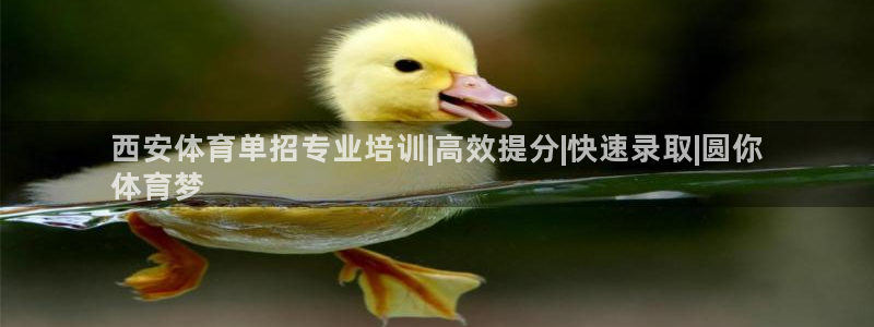焦点娱乐全国总冠军有哪些：西安体育单招专业培训|高效