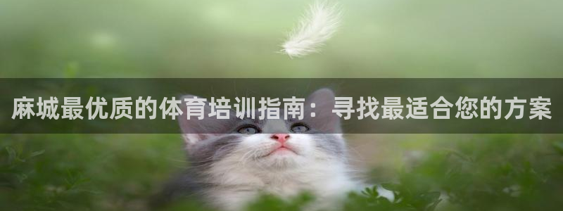 焦点娱乐app下载官网苹果版：麻城最优质的体育培训指