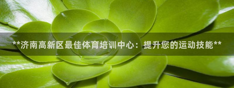 焦点娱乐平台客服电话：**济南高新区最佳体育培训中心