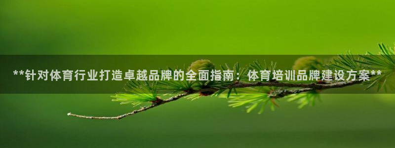 焦点娱乐无法提现怎么办：**针对体育行业打造卓越品牌的全面指
