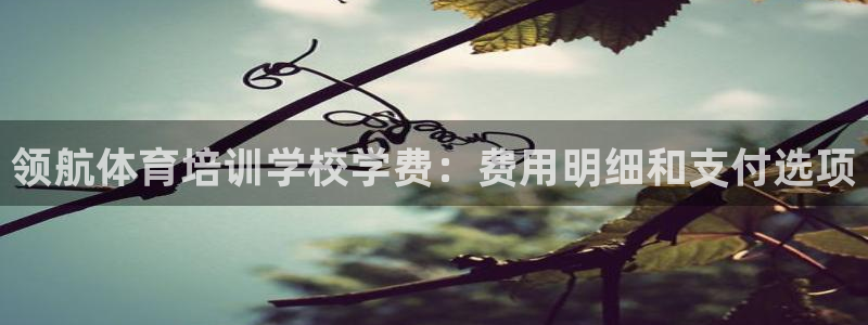 焦点娱乐门徒娱乐骗局揭秘：领航体育培训学校学费：费用