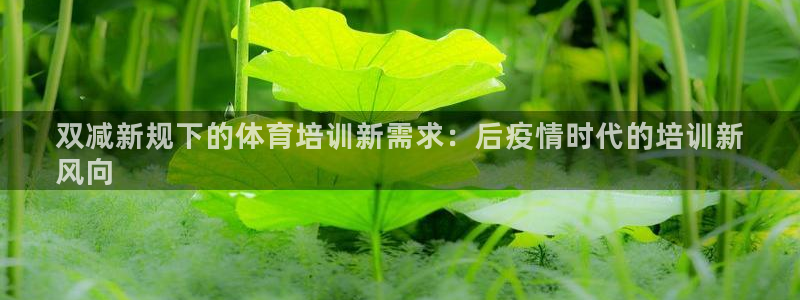 焦点娱乐平台怎么样知乎：双减新规下的体育培训新需求：