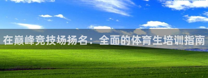 焦点娱乐官网下载安装手机版苹果：在巅峰竞技场扬名：全