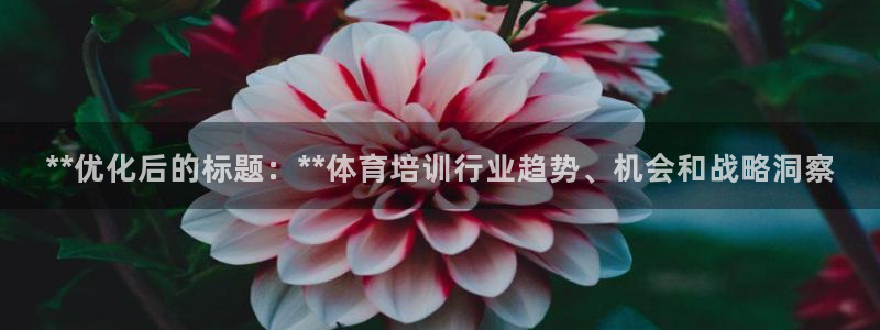 焦点娱乐有限公司招聘：**优化后的标题：**体育培训行业趋势