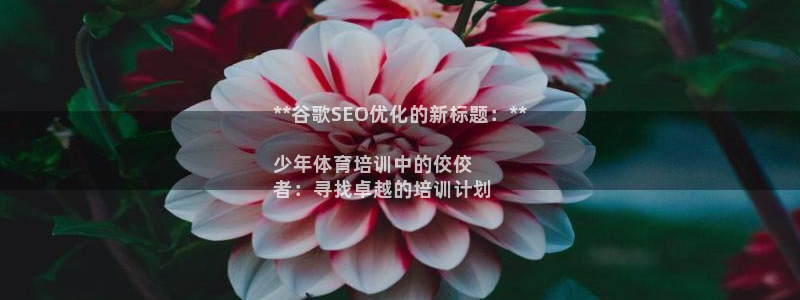 焦点娱乐传媒有限公司招聘：**谷歌SEO优化的新标题：**
