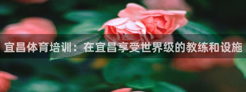 焦点娱乐官网下载安装苹果版：宜昌体育培训：在宜昌享受世界级的