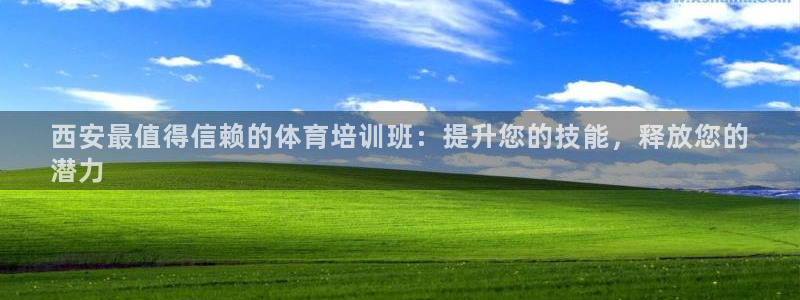 焦点娱乐什么意思