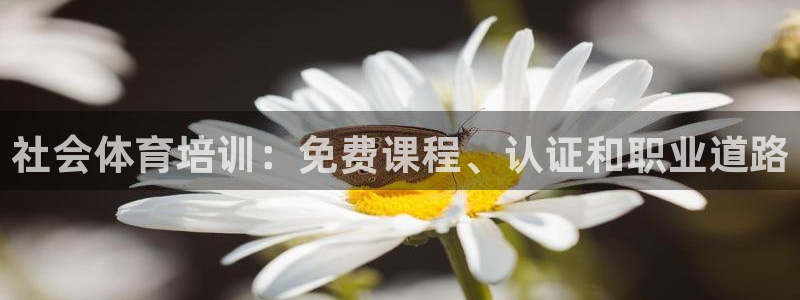 焦点娱乐拉菲11：社会体育培训：免费课程、认证和职业道路